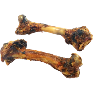 Bone PNG-46828